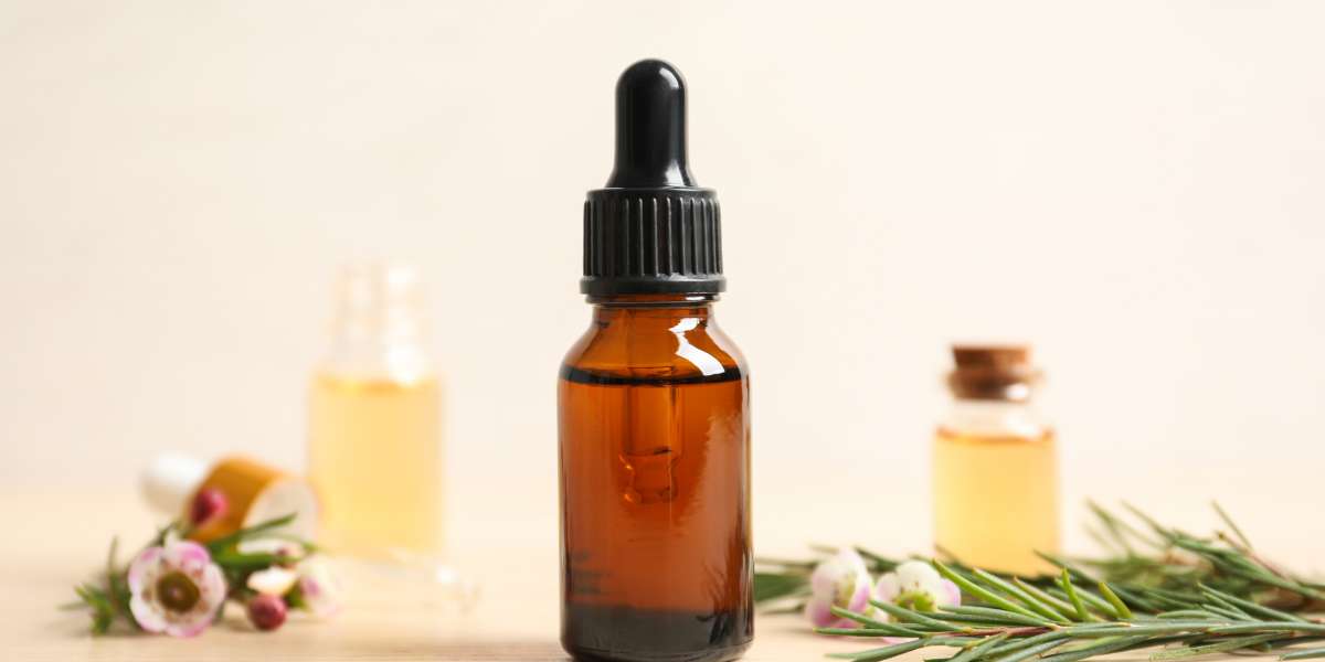 Benefícios do óleo essencial de melaleuca: para que serve, como usar e contraindicações