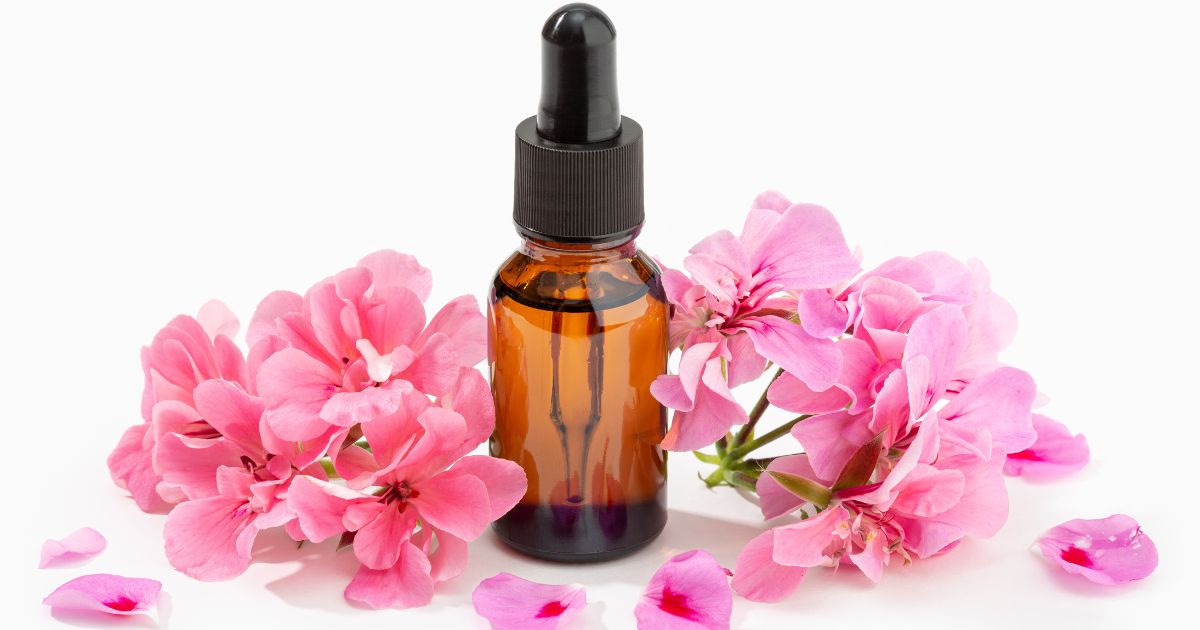 Óleo essencial de flor de cerejeira