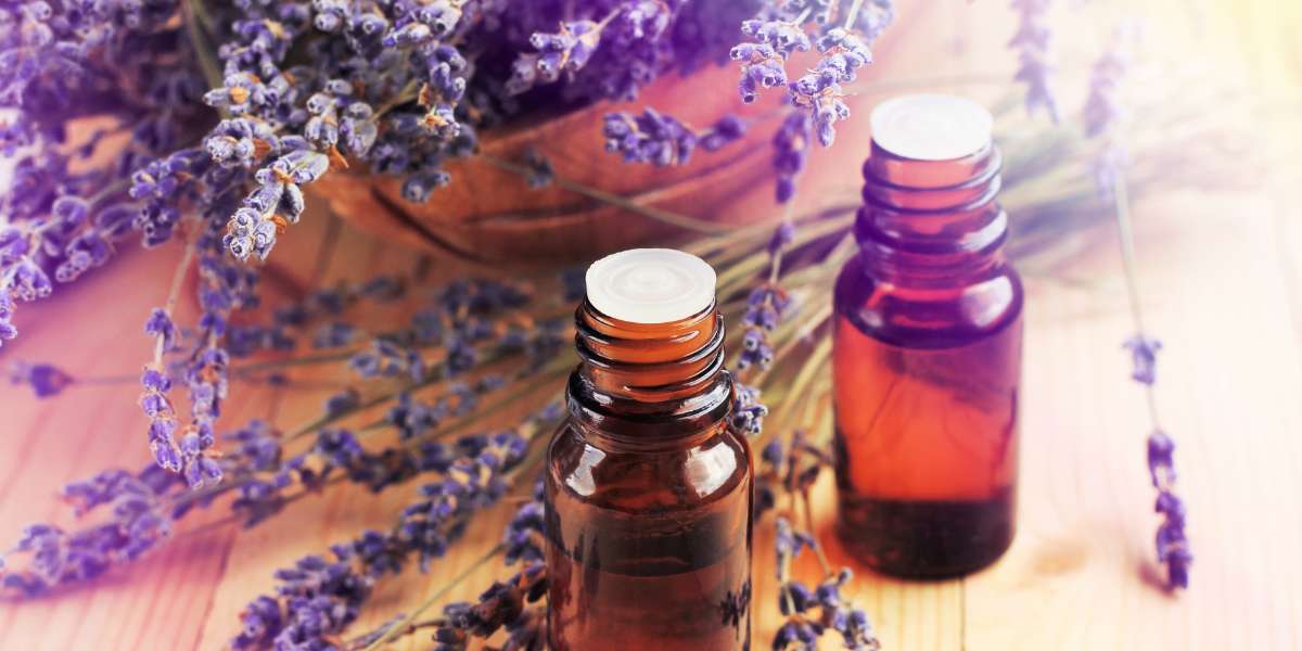 Benefícios do óleo essencial de lavanda: para a pele, o cabelo e o bem-estar