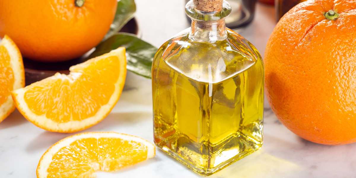 Óleo essencial wild orange: Energia, alegria e criatividade