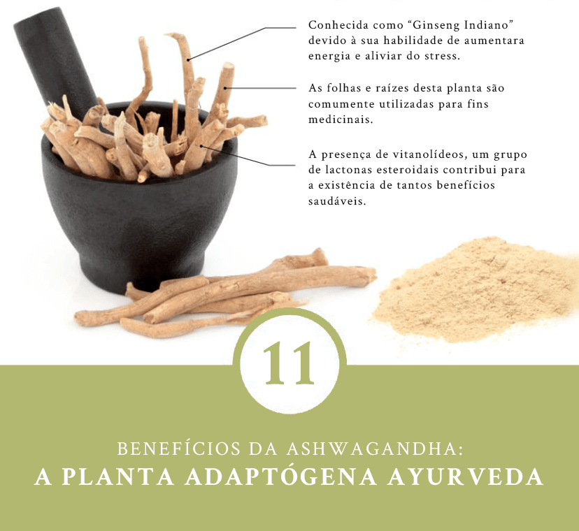 Ashwagandha: A Planta Adaptógena Ayurveda