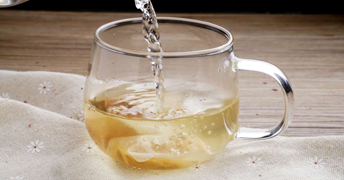 Como tomar chá de espinheira santa