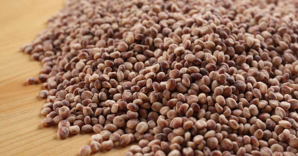 Leite de Coco como uma Alternativa Saudável aos Laticínios