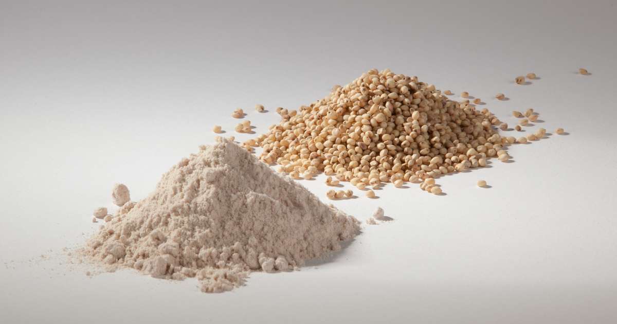 Benefícios do Óleo de Coco para sua Beleza