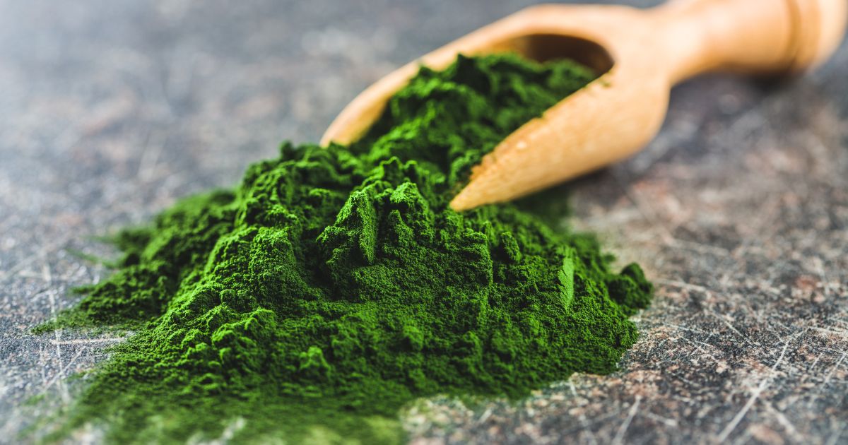 Chlorella