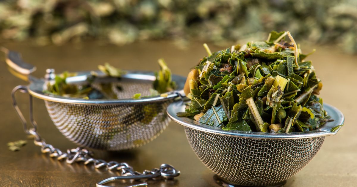 Chá de Folha de Amora Branca