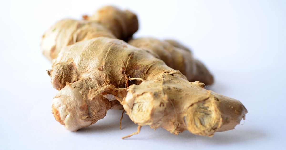 gengibre cru