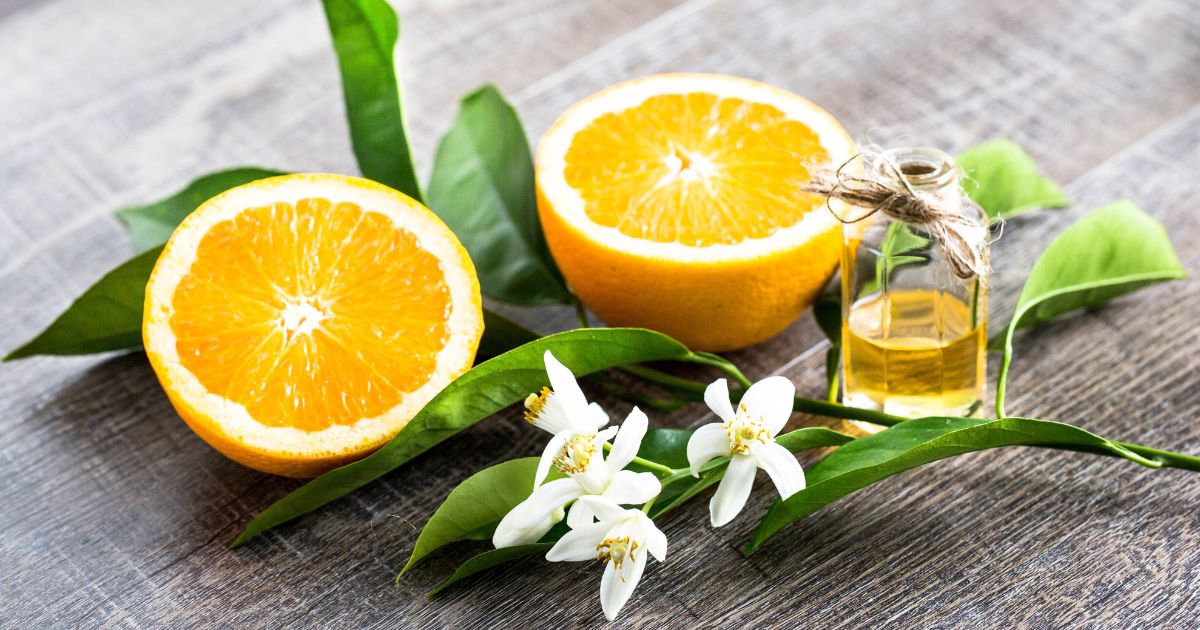 aromaterapia flor de laranjeira