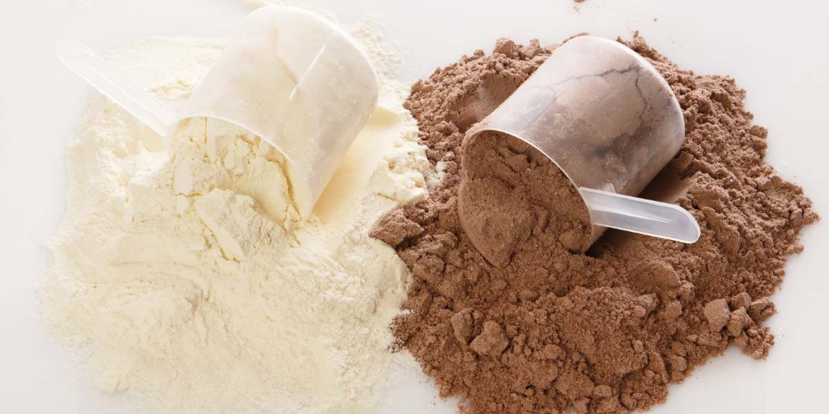 Qual o melhor Whey Protein Isolado ou Concentrado? Entenda a diferença