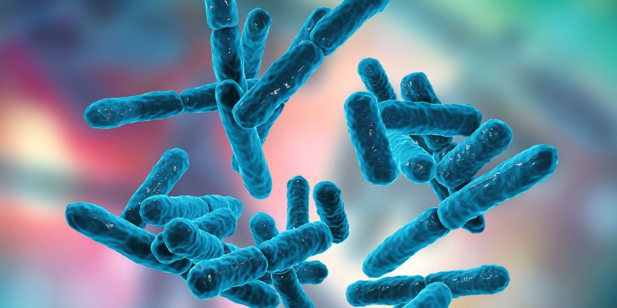 O Que São Probióticos: Como Podem Beneficiar Sua Saúde