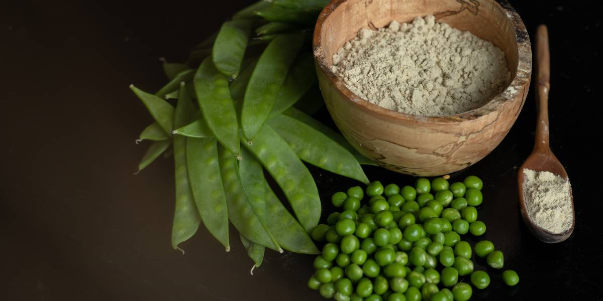 Qual a Melhor Proteína Vegetal em Pó? 7 Principais Escolhas